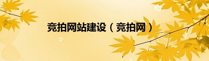 竞拍网站建设（竞拍网）
