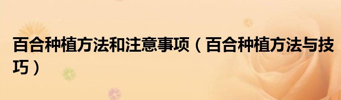 百合种植方法和注意事项(百合种植方法与技巧)