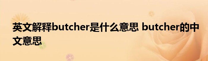 英文解释butcher是什么意思 butcher的中文意思