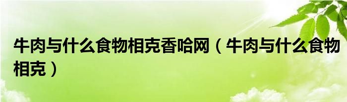 牛肉与什么食物相克香哈网(牛肉与什么食物相克)