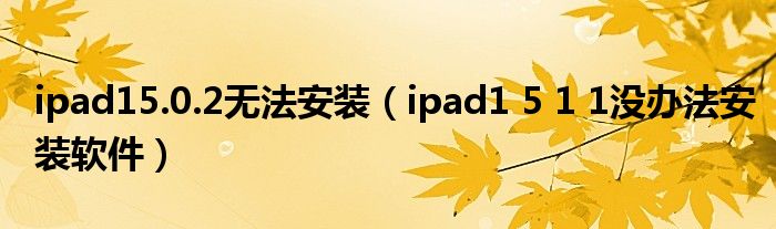 ipad15.0.2无法安装(ipad1 5 1 1没办法安装软件)