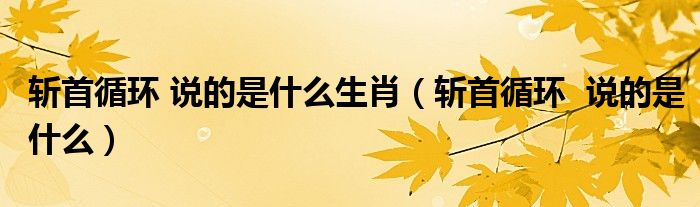 斩首循环 说的是什么生肖(斩首循环 说的是什么)