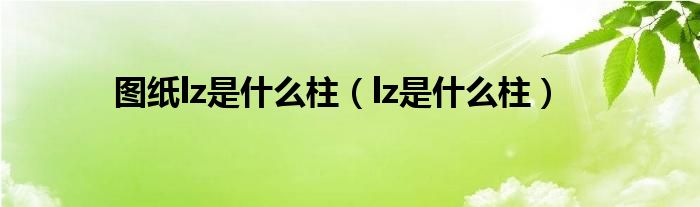 图纸lz是什么柱(lz是什么柱)