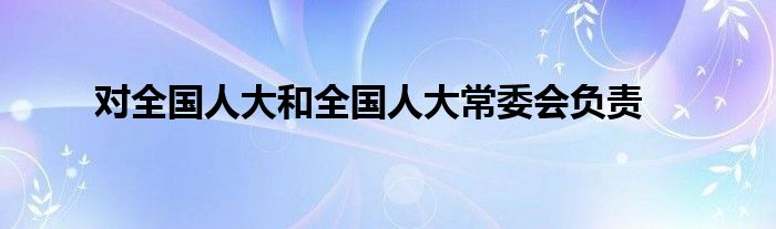 对全国人大和全国人大常委会负责