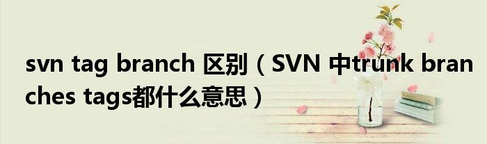 svn tag branch 区别(SVN 中trunk branches tags都什么意思)