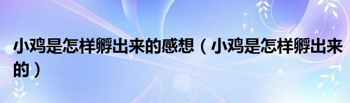 小鸡是怎样孵出来的感想(小鸡是怎样孵出来的)