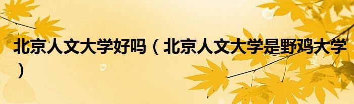 北京人文大学好吗(北京人文大学是野鸡大学)