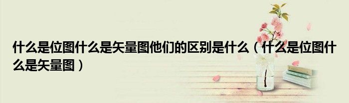 什么是位图什么是矢量图他们的区别是什么(什么是位图什么是矢量图)