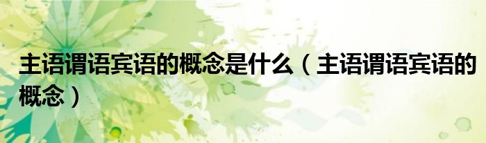 主语谓语宾语的概念是什么(主语谓语宾语的概念)