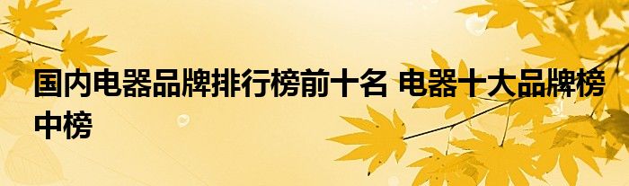 国内电器品牌排行榜前十名 电器十大品牌榜中榜