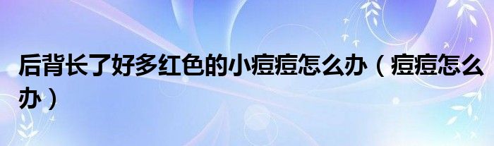 后背长了好多红色的小痘痘怎么办(痘痘怎么办)