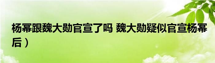 杨幂跟魏大勋官宣了吗 魏大勋疑似官宣杨幂后)
