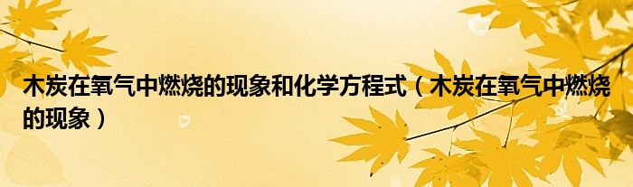 木炭在氧气中燃烧的现象和化学方程式(木炭在氧气中燃烧的现象)
