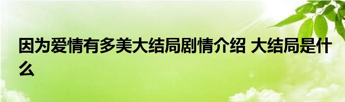 因为爱情有多美大结局剧情介绍 大结局是什么