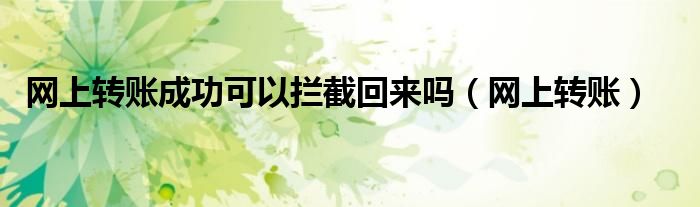 网上转账成功可以拦截回来吗(网上转账)