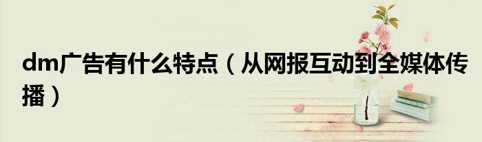 dm广告有什么特点(从网报互动到全媒体传播)