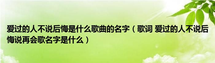 爱过的人不说后悔是什么歌曲的名字（歌词 爱过的人不说后悔说再会歌名字是什么）