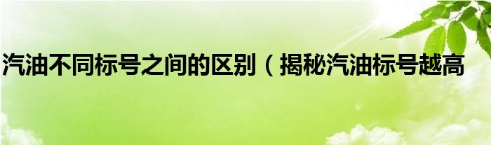 汽油不同标号之间的区别(揭秘汽油标号越高