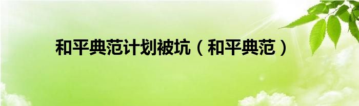 和平典范计划被坑(和平典范)