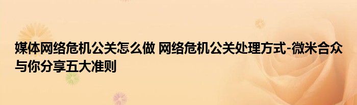 媒体网络危机公关怎么做 网络危机公关处理方式-微米合众与你分享五大准则
