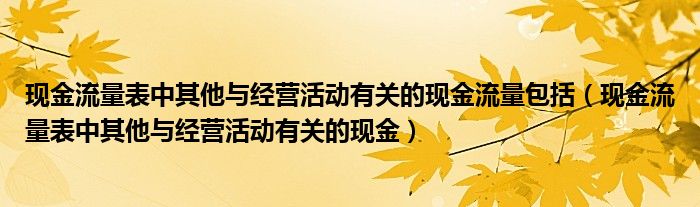现金流量表中其他与经营活动有关的现金流量包括(现金流量表中其他与经营活动有关的现金)
