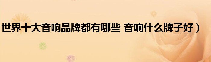世界十大音响品牌都有哪些 音响什么牌子好)