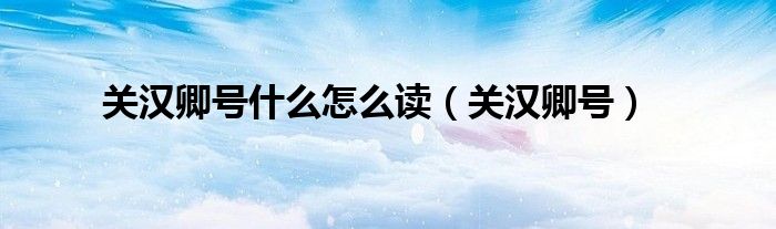 关汉卿号什么怎么读(关汉卿号)