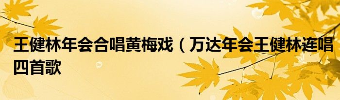 王健林年会合唱黄梅戏(万达年会王健林连唱四首歌
