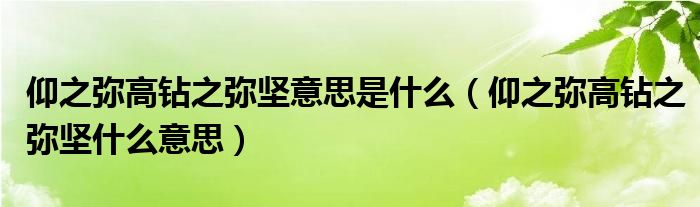 仰之弥高钻之弥坚意思是什么(仰之弥高钻之弥坚什么意思)