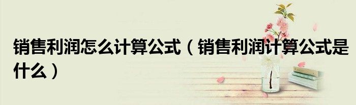销售利润怎么计算公式(销售利润计算公式是什么)
