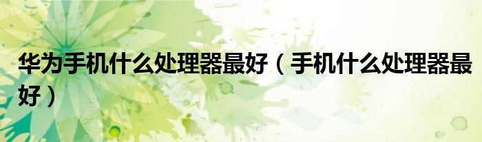 华为手机什么处理器最好(手机什么处理器最好)