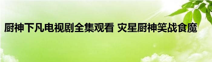 厨神下凡电视剧全集观看 灾星厨神笑战食魔