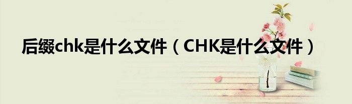 后缀chk是什么文件(CHK是什么文件)