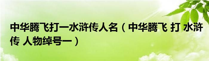 中华腾飞打一水浒传人名(中华腾飞 打 水浒传 人物绰号一)