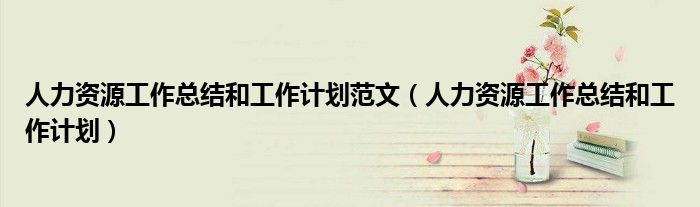 人力资源工作总结和工作计划范文(人力资源工作总结和工作计划)