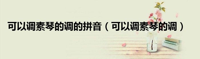 可以调素琴的调的拼音(可以调素琴的调)