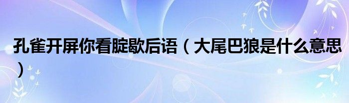 孔雀开屏你看腚歇后语(大尾巴狼是什么意思)