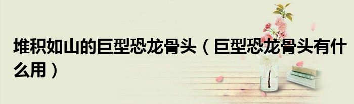 堆积如山的巨型恐龙骨头(巨型恐龙骨头有什么用)