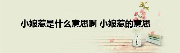 小娘惹是什么意思啊 小娘惹的意思