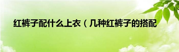 红裤子配什么上衣(几种红裤子的搭配