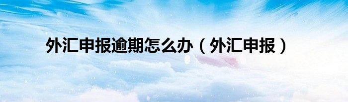 外汇申报逾期怎么办(外汇申报)