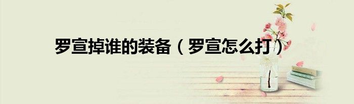 罗宣掉谁的装备(罗宣怎么打)