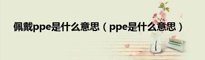 佩戴ppe是什么意思（ppe是什么意思）