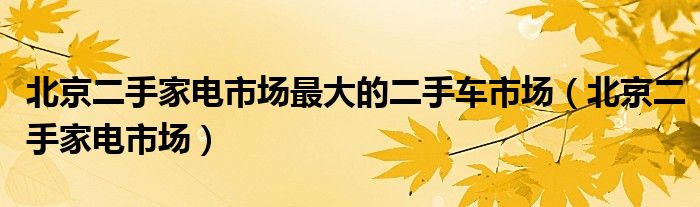 北京二手家电市场最大的二手车市场（北京二手家电市场）