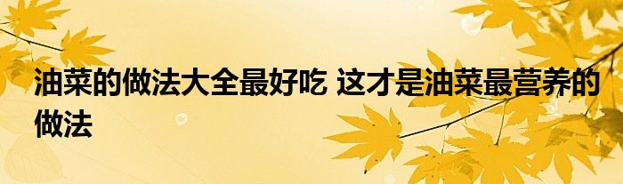 油菜的做法大全最好吃 这才是油菜最营养的做法