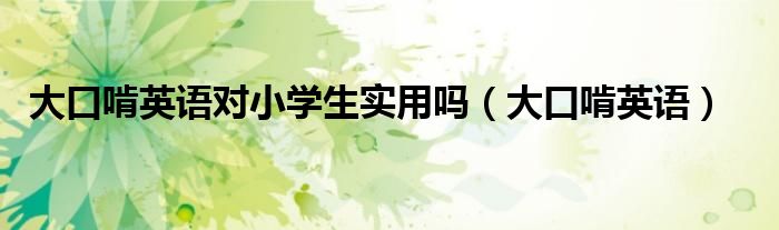 大口啃英语对小学生实用吗(大口啃英语)