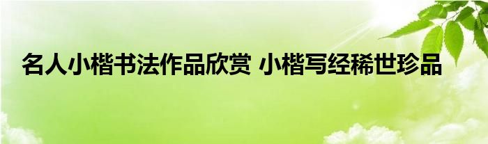 名人小楷书法作品欣赏 小楷写经稀世珍品