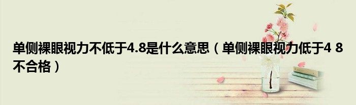 单侧裸眼视力不低于4.8是什么意思（单侧裸眼视力低于4 8不合格）