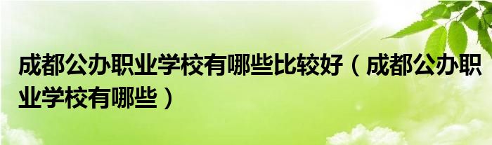 成都公办职业学校有哪些比较好(成都公办职业学校有哪些)