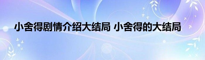 小舍得剧情介绍大结局 小舍得的大结局